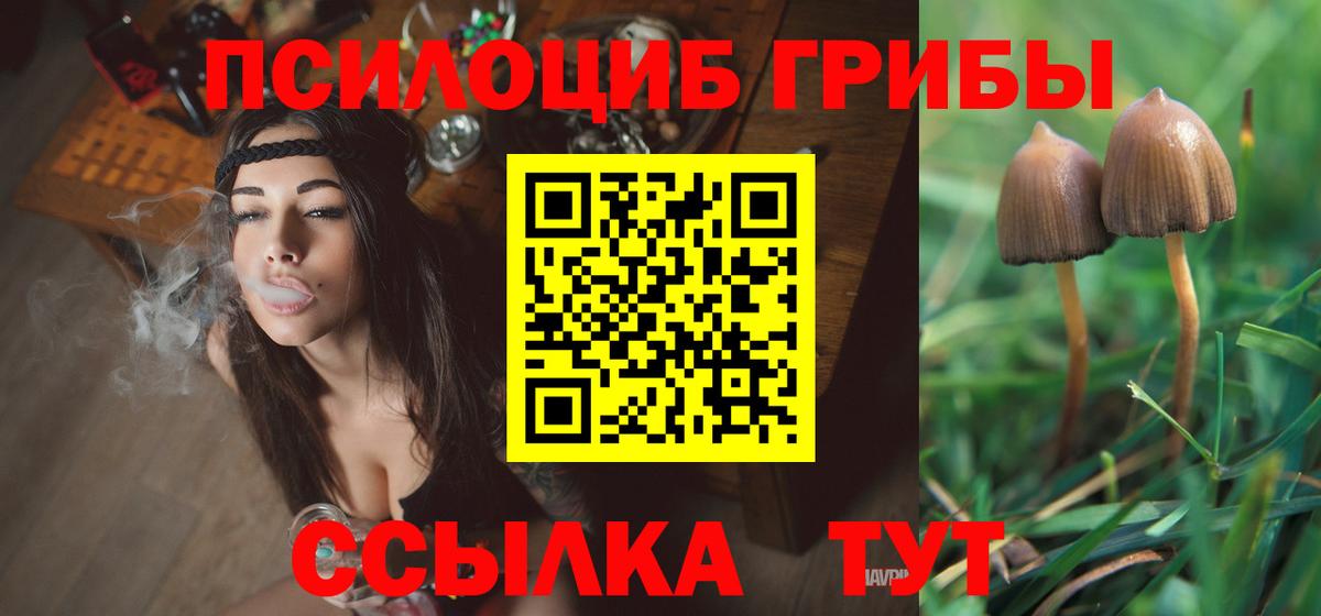 Псилоцибиновые грибы мухоморы  Вход с VPN  Ачхой-Мартан  Псилоцибиновые грибы прущие грибы 